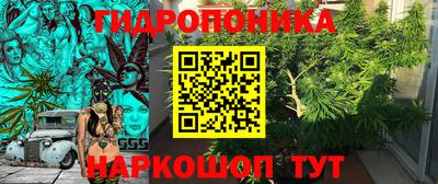 стаф Волгодонск