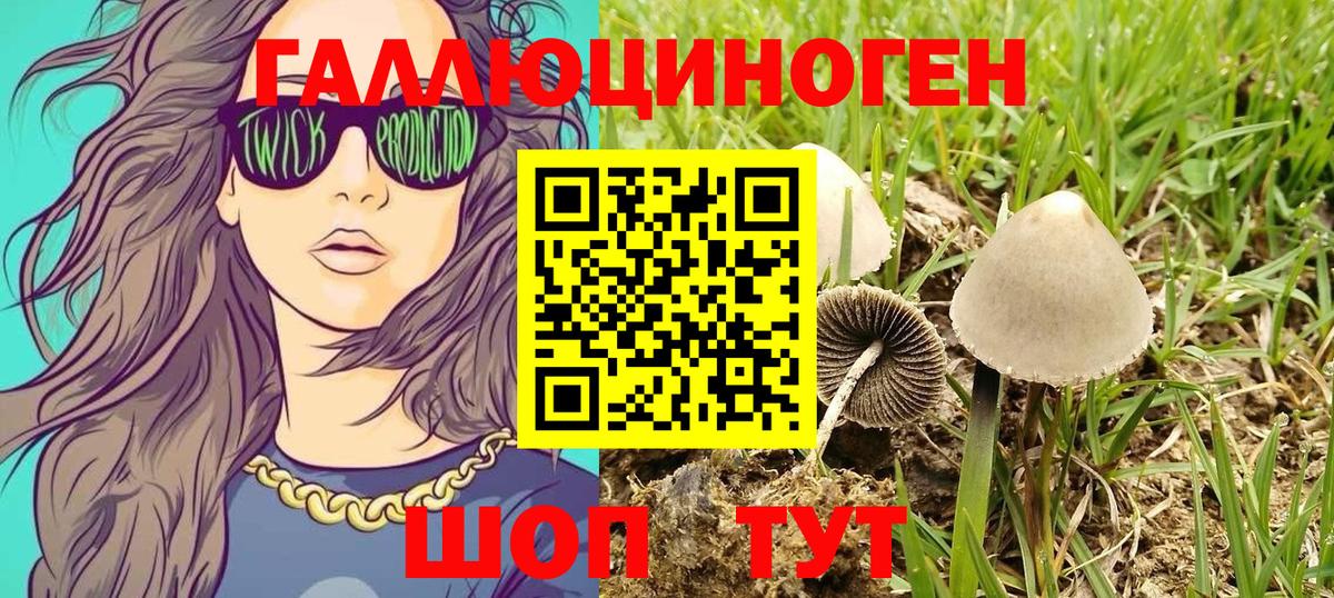 Псилоцибиновые грибы мицелий  Вход с VPN  Старый Оскол 